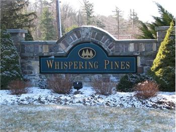 pines whispering pa homes paupack
